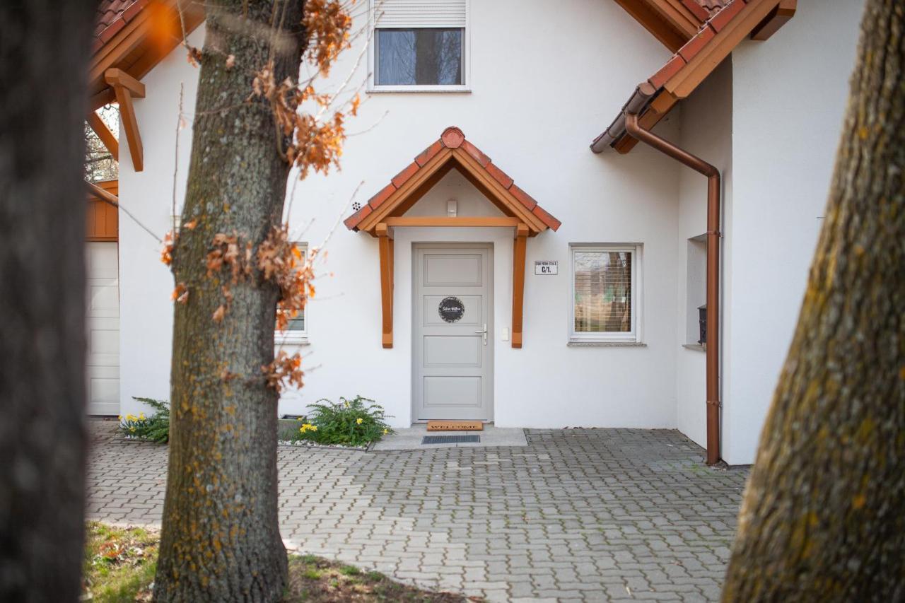 Silver Willow Luxury Apartment Šoproň Exteriér fotografie
